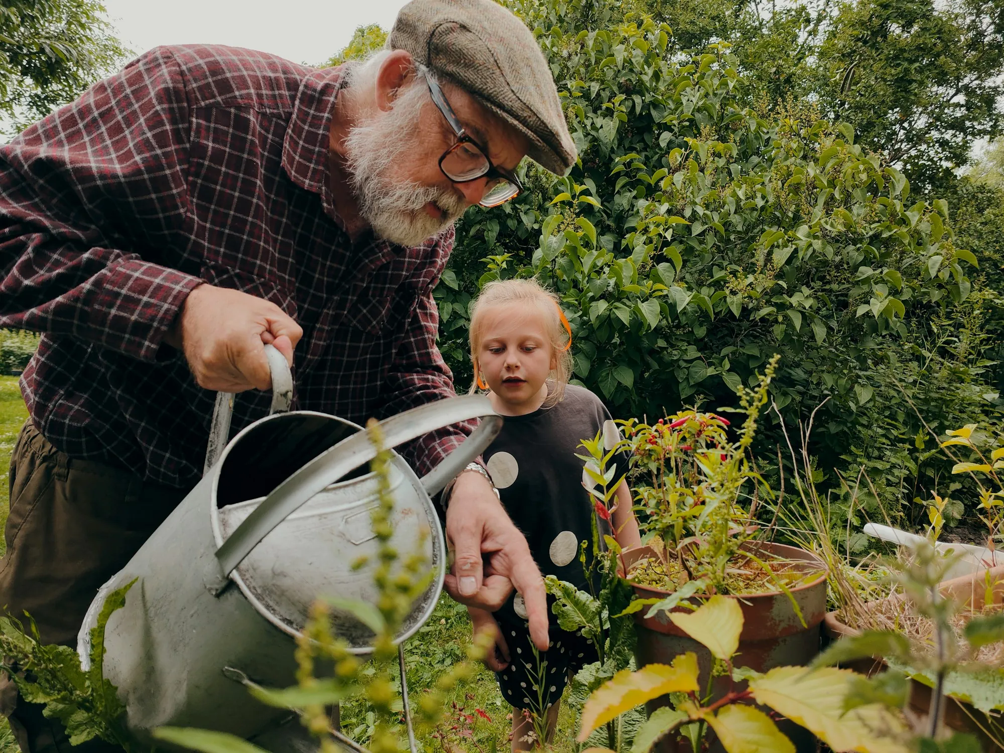 Grandfather gardening with his young grandchild